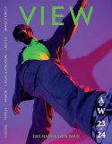 VIE139DV